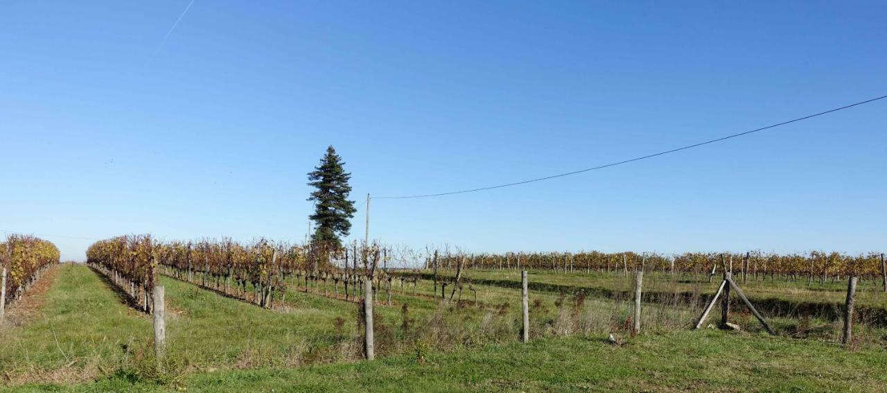 Le Clos de la Chataignère Villa Vérac Esterno foto